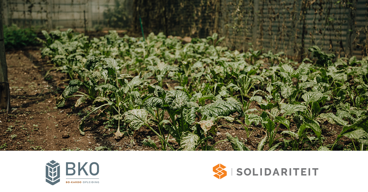 learning course avatar